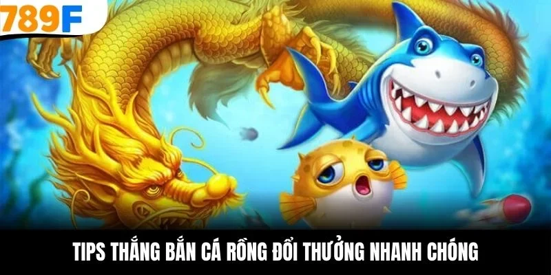 Tips thắng bắn cá rồng đổi thưởng nhanh chóng